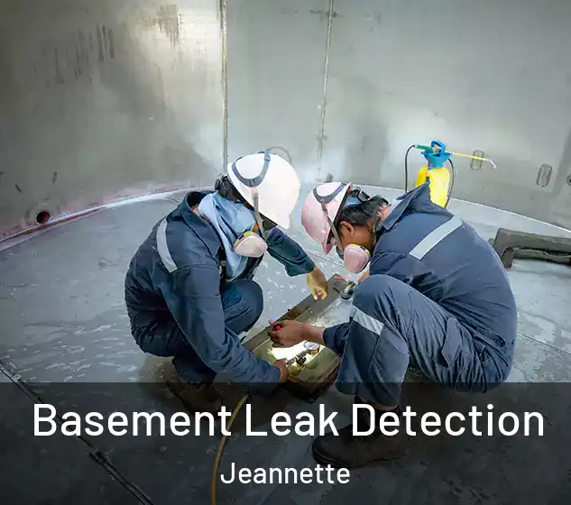  Basement Leak Detection Jeannette