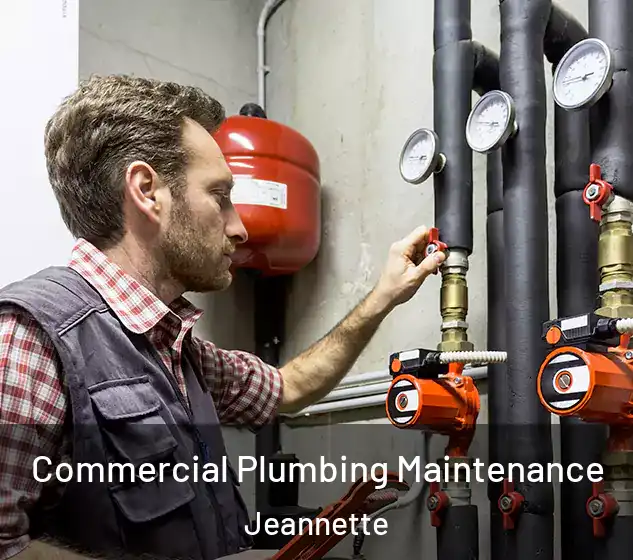  Commercial Plumbing Maintenance Jeannette