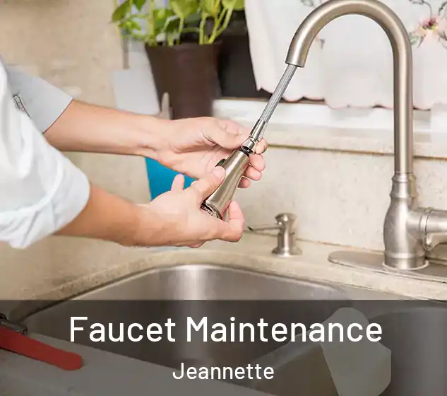  Faucet Maintenance Jeannette