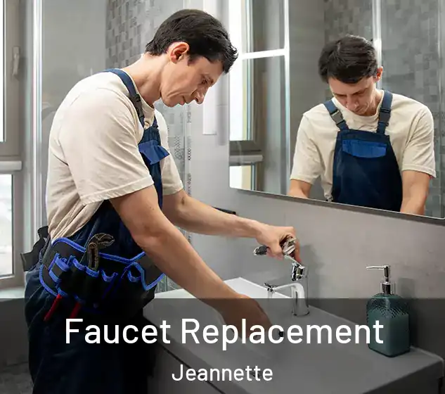  Faucet Replacement Jeannette