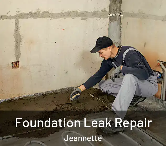  Foundation Leak Repair Jeannette