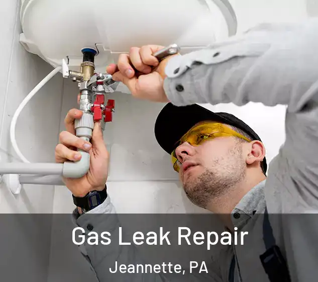  Gas Leak Repair Jeannette, PA