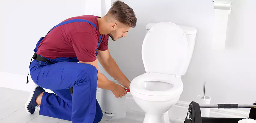 Scope of Bathroom Toilet Bowl Replacement Services in Jeannette, PA