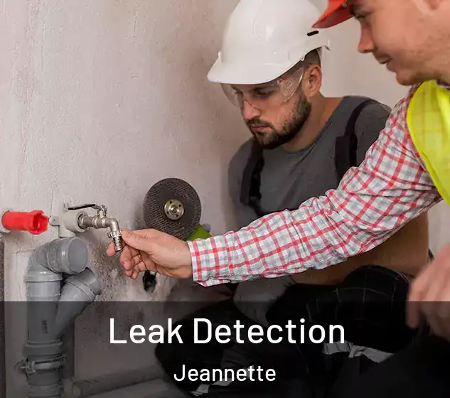  Leak Detection Jeannette