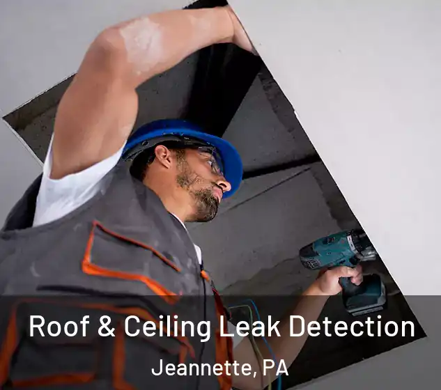  Roof & Ceiling Leak Detection Jeannette, PA