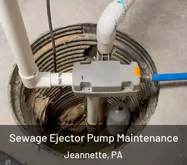  Sewage Ejector Pump Maintenance Jeannette, PA