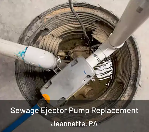  Sewage Ejector Pump Replacement Jeannette, PA