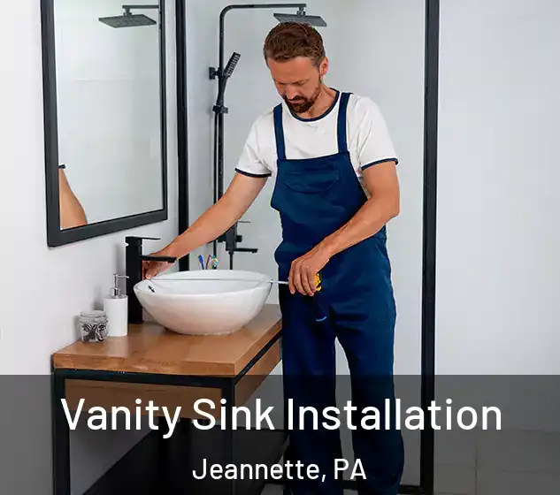  Vanity Sink Installation Jeannette, PA
