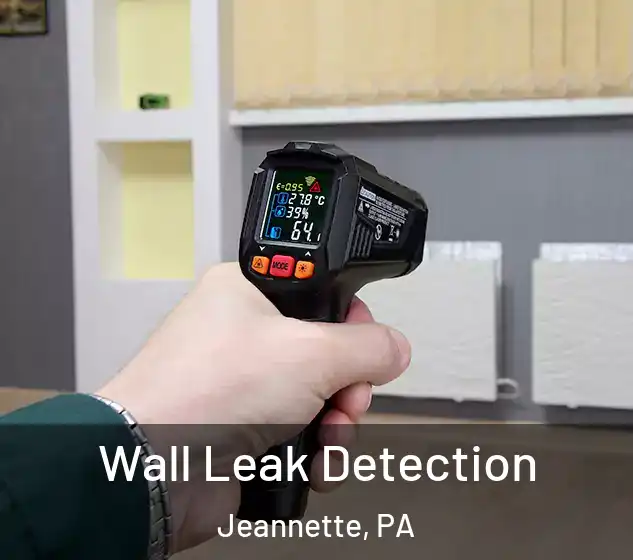  Wall Leak Detection Jeannette, PA