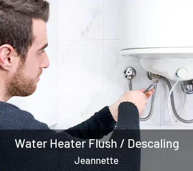  Water Heater Flush / Descaling Jeannette