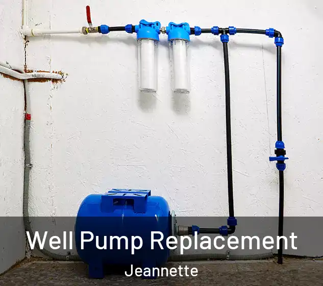  Well Pump Replacement Jeannette